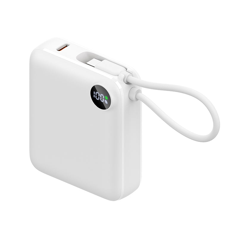 10000mAh Mini Portable Power Bank